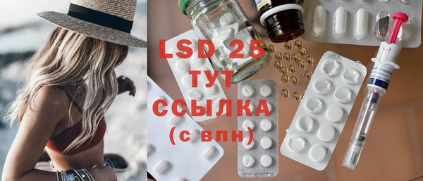 ГАЛЛЮЦИНОГЕННЫЕ ГРИБЫ Липки