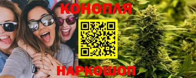 дмт Кинель