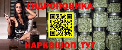 синтетический гашиш Кингисепп