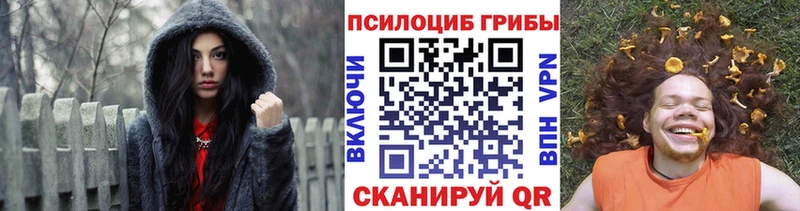 Псилоцибиновые грибы Psilocybe  MEGA ссылка  Ростов-на-Дону  продажа наркотиков 